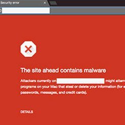 Inadequate WordPress Security can cause malware,