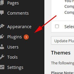 Update Plugins. Maximise WordPress Security
